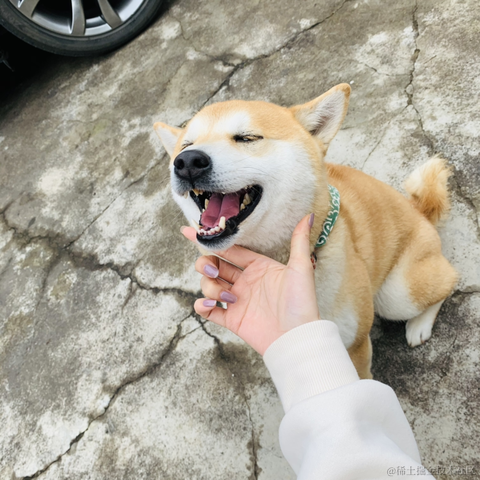 清汤饺子于2021-06-21 10:05发布的图片