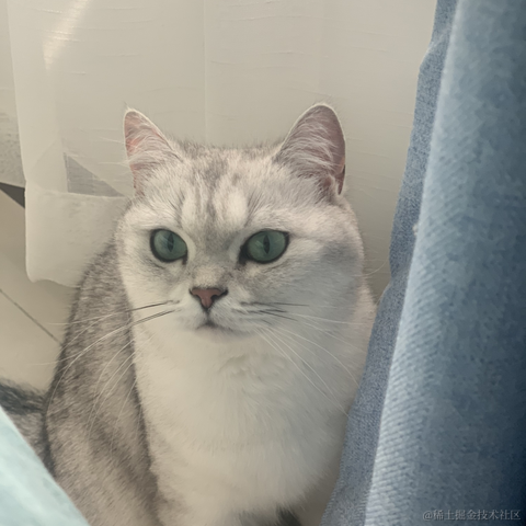 小蝴蝶于2021-12-25 14:16发布的图片