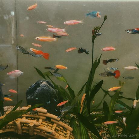 buss于2023-05-14 21:58发布的图片