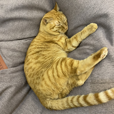 avavaava于2022-11-15 01:52发布的图片