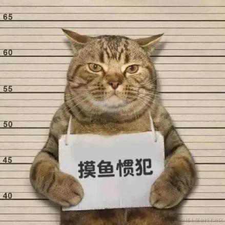 Over于2022-06-17 17:50发布的图片