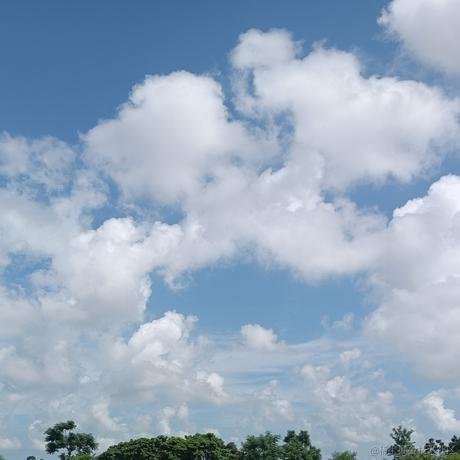 然然今天吃雪莲于2023-06-20 18:54发布的图片