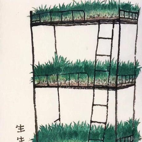 NaN_BrandNew于2021-06-03 02:06发布的图片