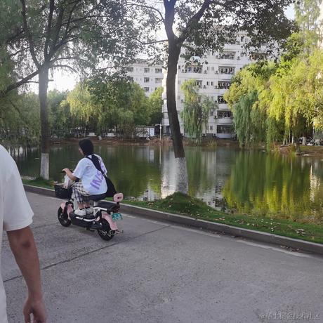 jzp2于2023-06-29 20:37发布的图片