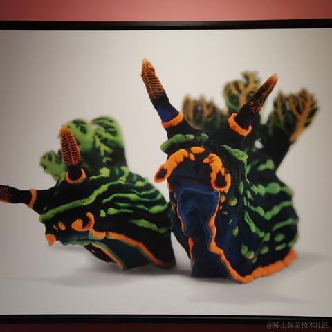 阿奎咯于2023-04-14 22:46发布的图片