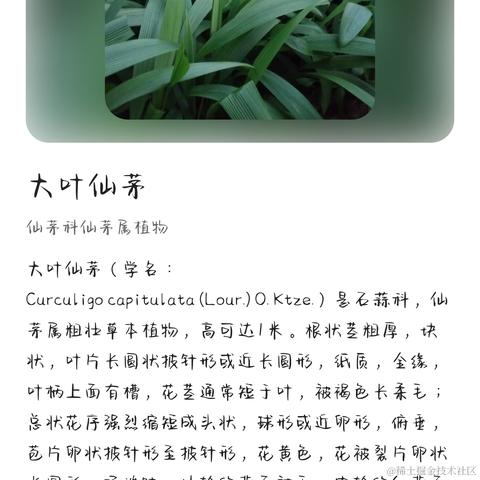 千岁归鹤于2022-11-18 23:14发布的图片