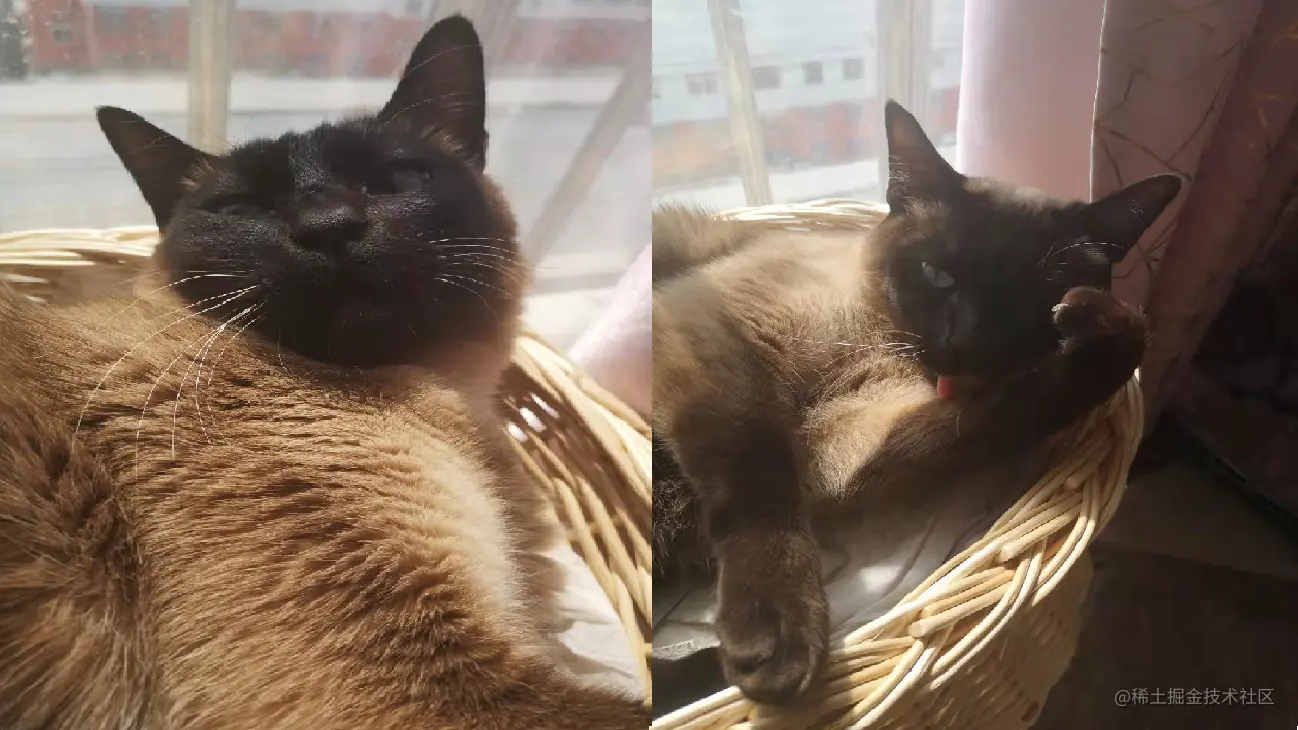王的蔑视.png