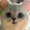 木讷的树a于2023-12-15 14:39发布的图片