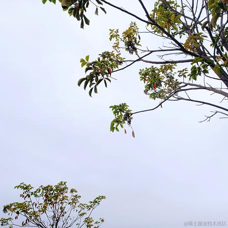 好饿好困于2022-11-16 07:32发布的图片