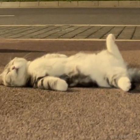 北冥养条鱼于2022-11-26 09:33发布的图片