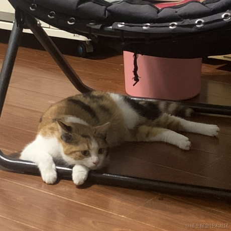 卖蛋饼等你下课于2021-06-15 20:56发布的图片