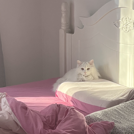 kk有志向于2022-12-05 09:00发布的图片