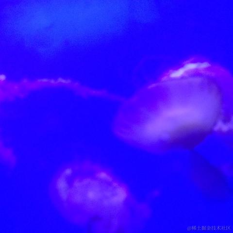 魔怔时代于2022-11-15 19:02发布的图片