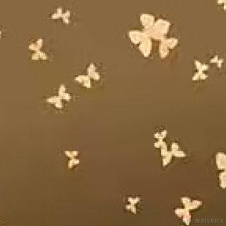 说说上学那些事儿于2023-04-06 22:44发布的图片