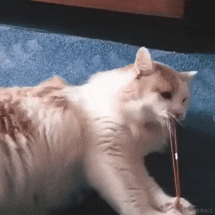 Moluuu于2020-09-25 22:52发布的图片