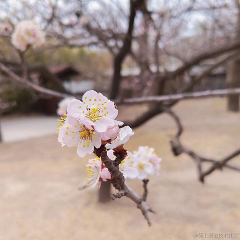 violetBlue于2023-03-28 07:58发布的图片