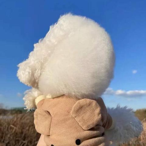 BooBoo于2021-12-24 10:20发布的图片