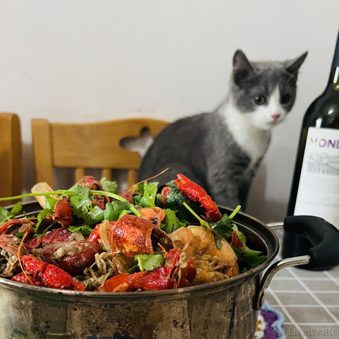 秋秋秋糖于2023-06-03 15:09发布的图片