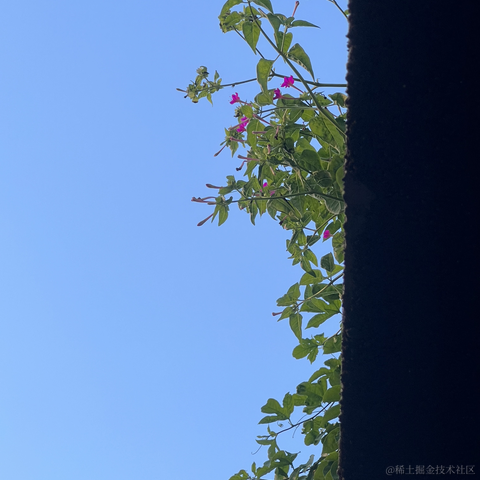 安酱于2023-07-15 20:17发布的图片