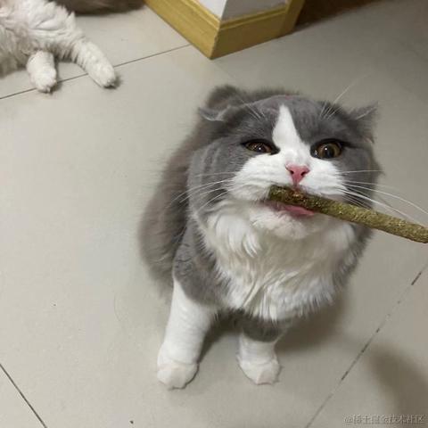 Care_在乎于2021-11-01 11:10发布的图片