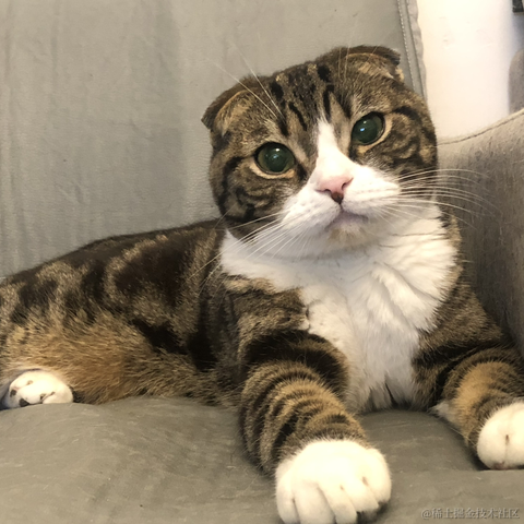 已注销于2023-01-06 13:31发布的图片