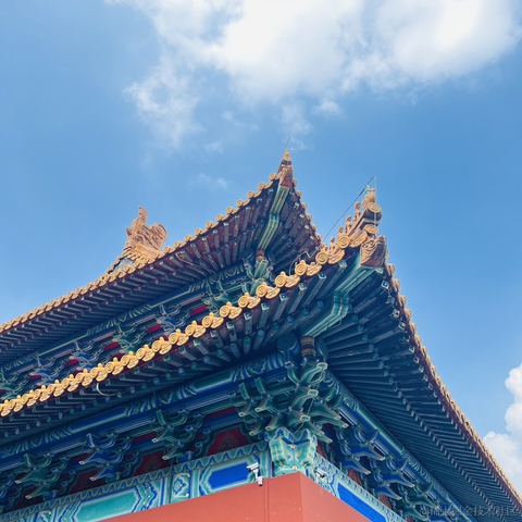减肥失败N次于2023-08-07 10:51发布的图片
