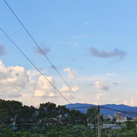 岫岩于2023-08-06 17:16发布的图片