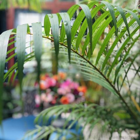 RunZi于2020-08-08 08:55发布的图片