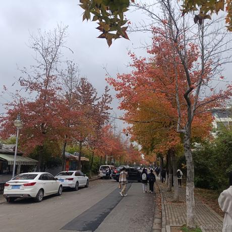 贝極星于2022-11-21 12:23发布的图片