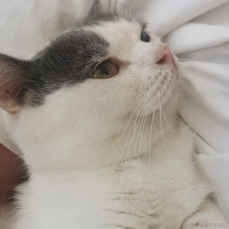 向晚明天吃什么于2022-11-29 13:58发布的图片