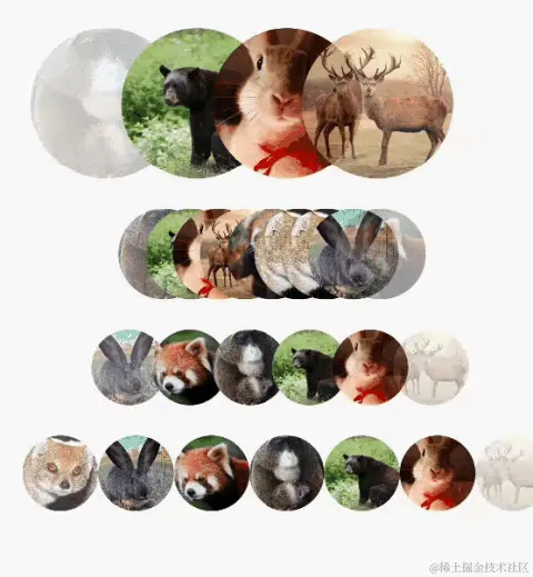 converted_animation.gif