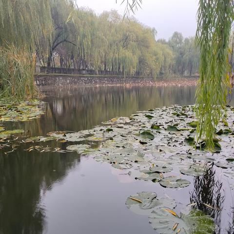 netfix于2022-11-24 13:59发布的图片