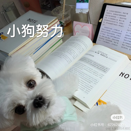 颜迪于2022-12-21 19:08发布的图片