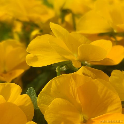 仙童总是玩于2023-04-02 09:22发布的图片