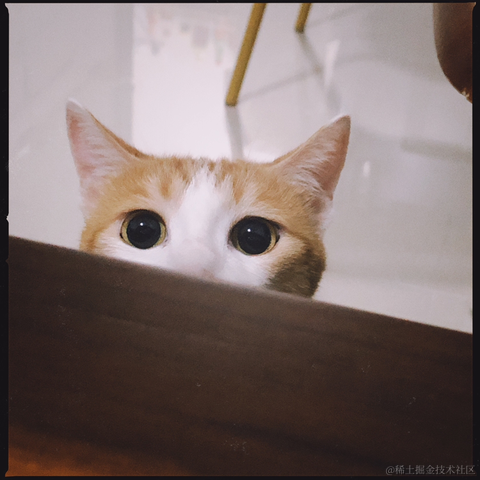 皮皮皮皮皮喵于2021-06-15 09:24发布的图片