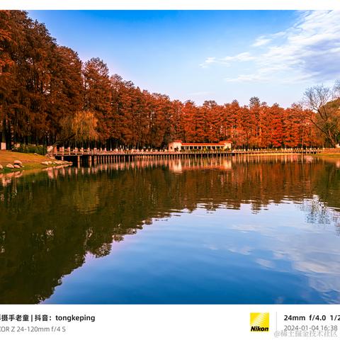 光影童于2024-01-10 09:51发布的图片