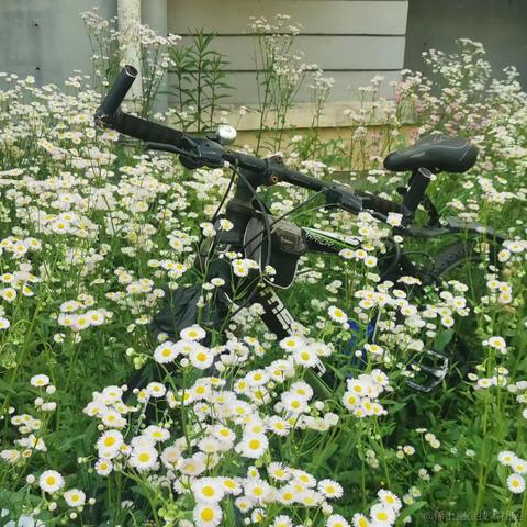 松松金于2022-05-04 13:52发布的图片