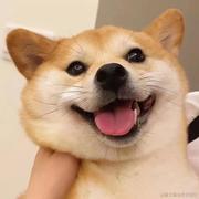 清_枫_的个人资料头像