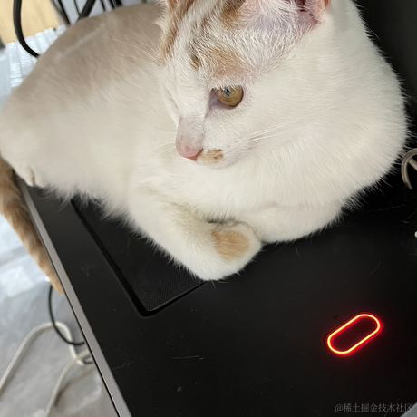 Q狂奔的蜗牛于2022-03-01 16:28发布的图片