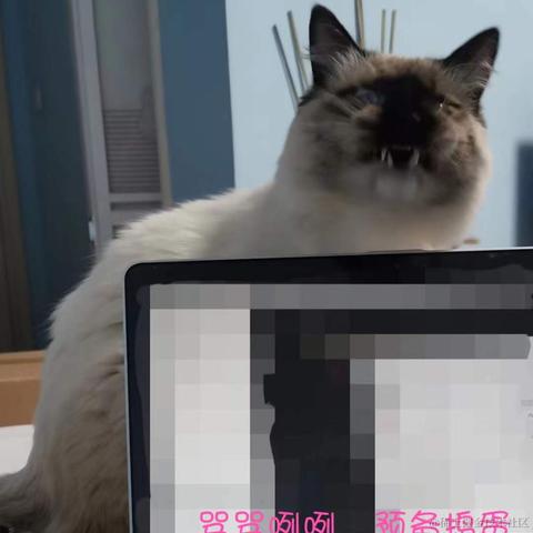 小鲸鱼mm于2022-01-05 16:02发布的图片