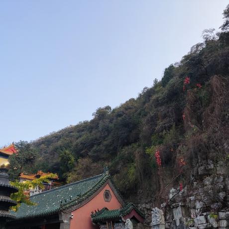 贝拉的晃悠悠于2022-11-11 08:48发布的图片