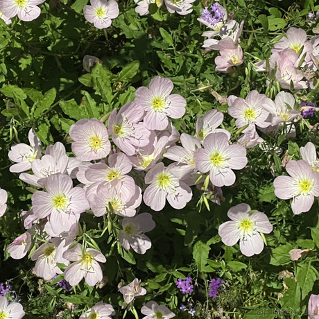 你说这是为什么于2023-05-17 09:40发布的图片