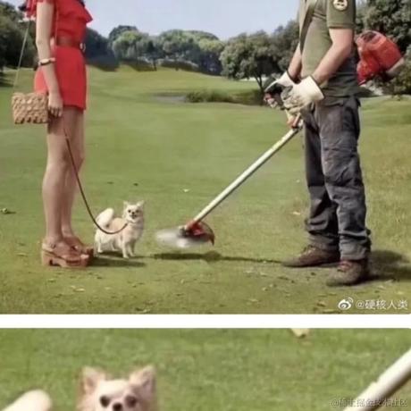 何必诗债换酒钱于2022-12-01 16:30发布的图片