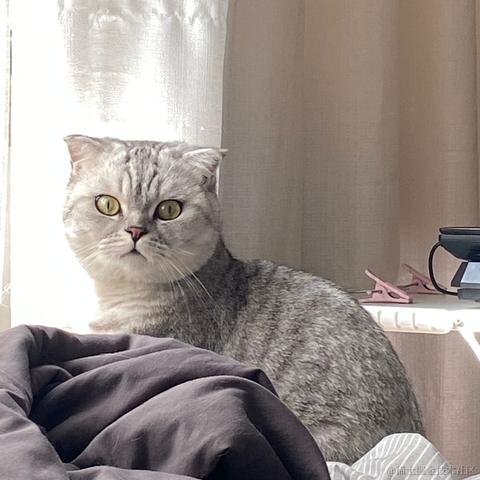 赫本的小猫于2022-08-10 20:32发布的图片