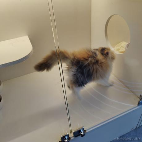 YDYK于2023-05-31 12:05发布的图片