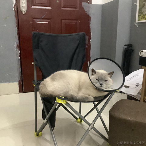 是然比不是猪比于2023-06-30 22:47发布的图片