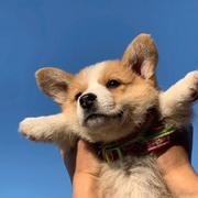 迪亚的个人资料头像