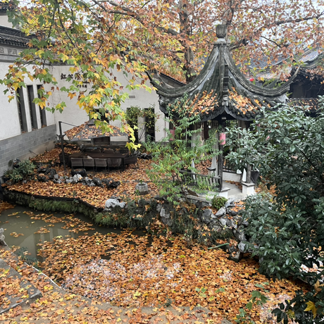 二十二日_于2022-11-29 12:25发布的图片