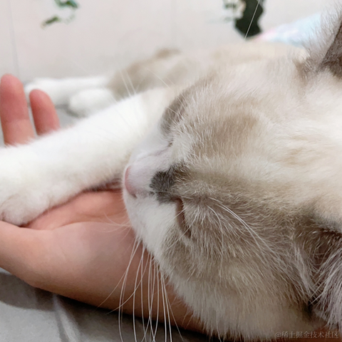 pp同学于2021-10-28 14:32发布的图片