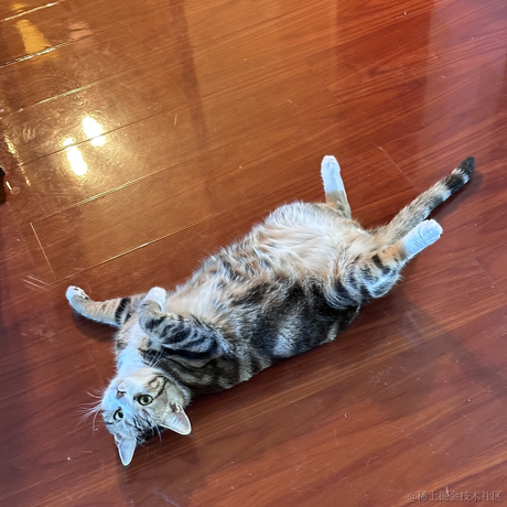 逃离月球表面于2023-05-17 20:46发布的图片